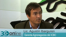 30 online B2: Para el productor es mejor tomar crditos en dlares o en pesos?; con A. Ibarguren - ICBC