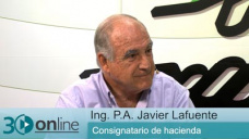 30 online B3: Poco ternero a trmino...seal de aumento y retencin de criadores?; con J. Lafuente