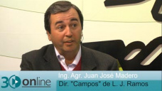 30 online B1: Cmo acuerdan los contratos de arrendamiento dueos e inquilinos?; con J. J. Madero