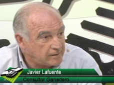 TV: Cunto va a valer la invernada en los remates post-destete?; con Javier Lafuente