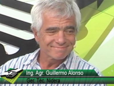 TV: Cual fue el manejo agronmico que mejor funcion en esta campaa de soja y maz?; con Ing. G. Alonso