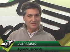 TV: Cmo amortiguar en el campo el bajn en el precio de los Terneros?; con J. Llaur