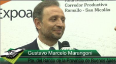 TV: La morosidad agropecuaria es ms baja que la del resto de la cartera; con G. Marangoni