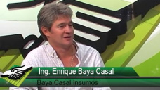 TV: Cmo est el mercado y los precios de forrajeras y verdeos?; con E. Baya Casal