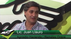 TV: Qu est pasando con los precios por calidad y peso en Invernada?; con Juan Llaur