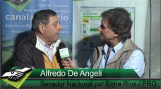 TV: Cmo hace un productor como Alfredo De Angeli para convivir con la oposicin K en el Senado?