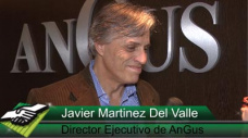 TV: Cmo vienen las ventas ganaderas en Palermo? Y todo el anlisis de mercado con Javier Martnez del Valle