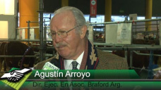 TV: Luego del record 2013, Qu promedios de ventas se llev La Braford en Palermo 2014?; con Agustn Arroyo