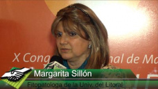 TV: Podredumbre de raz y tallo Cmo evitar las prdidas de rendimiento en maz?; con M. Silln