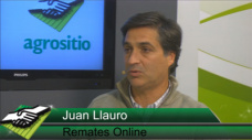 TV: Cmo sigue la Invernada; Tra. 180 kg a $22,50; 250 Kg a 19,90 y Ter. 230 a 22,10?; con Juan Llaur