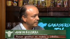 Ganad.TV B2: 