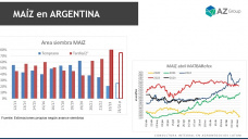 Maz: Despus de las lluvias, mejoran las perspectivas para sembrar, con Lorena DAngelo - Clnica de Granos