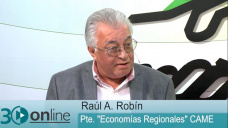 30 online B2: En qu te puede ayudar como productor la nueva Ley PyMe?; con R. Robn - CAME