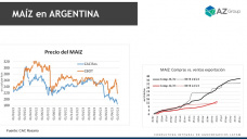 Maz: ms siembras 23/24 en EE.UU. ser ms cosecha?, con Lorena DAngelo - Clnica de Granos