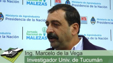 TV: Cmo manejar las malezas difciles con costos razonables?; con M. de la Vega