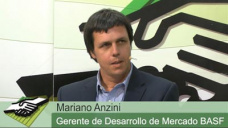 TV: Cmo controlar malezas en post siembra de Soja para no perder rinde?; con Ing. M. Anzini