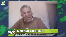 Sirve o no sirve que Argentina se enfoque en la Bioeconoma exportadora?, con Mariano Winograd - agrnomo