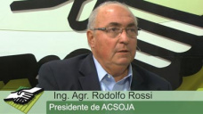 TV: Qu pasara si bajamos 4 Mill Has de Soja y aumentamos Maz, Trigo y Sorgo?; con R. Rossi - ACSoja