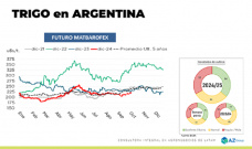 Trigo: puede volver el precio 24/25 a usd 240? ; con Lorena DAngelo - Clnica de Granos