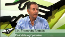 TV: Cmo estn el nimo y las expectativas de los productores?; con Fernando Bertello de La Nacin