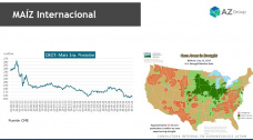Maz: El cereal encuentra sostn por la demanda; con Lorena DAngelo - Clnica de Granos