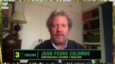 Precios de la Vaca con 1,5 Mill. de terneros menos y El Nio; con Juan Pedro Colombo - consignatario