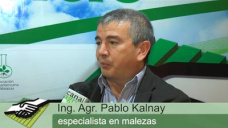 TV: Volvemos a un sistema integrado con control mecnico y qumico de malezas?; con P. Kalnay 