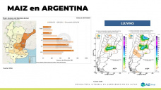 Maz: las lluvias ayudaran a avanzar con las siembras, cuanto ms?; con Lorena DAngelo - Clnica de Granos