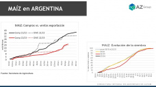 Maz: Lentas siembras que alejan las intenciones de productores, con Lorena DAngelo - Clnica de Granos