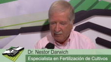 TV: Avances tecnolgicos que permiten cambios a costos razonables; por N. Darwich