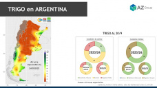 Trigo: el clima impacta en los cultivos locales, con Lorena DAngelo - Clnica de Granos