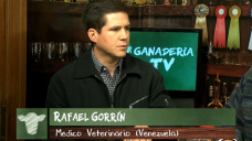 Ganad.TV B2: 