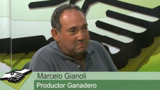 TV: Cmo hace un productor Ganadero pequeo para retener hacienda este ao?; con Marcelo Gianoli