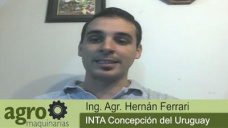 Agromaq. TV: Cmo regular la cosechadora para no diseminar malezas resistentes?; con H. Ferrari - INTA