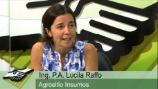 TV: Cmo es el panorama de venta de Insumos en el 2015?; con Lucila Raffo