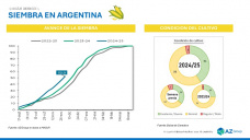 Maz con buenas perspectivas de siembra en Argentina,  con Sofia Gayo - Clnica de Granos