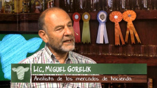 Ganad.TV: B4: Vale la pena jugarse a producir Novillo pesado de exportacin?; con M. Gorelik 