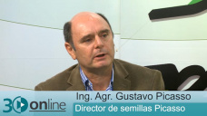 30 online B2: Cmo est la demanda de pasturas y forrajeras para la siembra de Primavera?; con G. Picasso