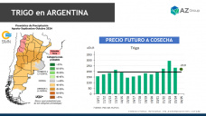 Trigo: Pocas lluvias ayudan a los precios futuros; con Lorena DAngelo - Clnica de Granos