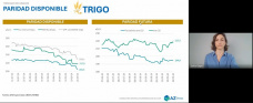 Trigo: atentos, habr momentos de oportunidad de aqu a cosecha, con Sofia Gayo - Clnica de Granos