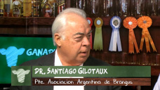 Ganad.TV B1: Porqu la agricultura creci 500% y la ganadera solo 50%?; por S. Gilotaux