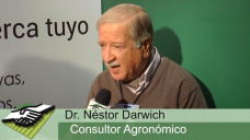 TV: Cuales son los desafos agronmicos para un Trigo que de plata?; con N. Darwich