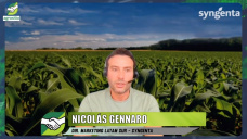 Innovacin + insecticidas para Chicharrita + bioestimulantes anti-stres; con N. Gennaro - Syngenta