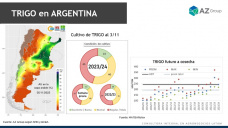 Trigo: Mejor el clima pero no las perspectivas productivas, con Lorena DAngelo - Clnica de Granos