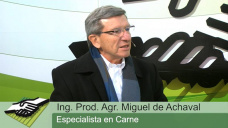 TV: Qu le suma a la Ganadera local la venta del Frigrfico JBS a la brasilea Minerva?; con  M. de Achval