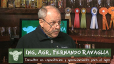 Ganad.TV B2: Falta trabajo en el Campo, o falta gente con ganas de trabajar?; con F. Ravaglia