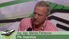 TV: Cmo hacer para no fundirse produciendo trigo?; con M. Ferreccio