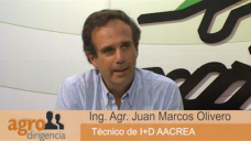 AgroDirig.TV B1: Como manejar la empresa agropecuaria y no morir en el intento?; con J. M. Olivero - CREA