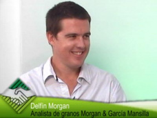 30 online: Qu hacer con el trigo y cmo manejar la soja?; con Delfn Morgan - MGM