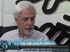 30 online: Podemos superar los 50.000 kg / ha de materia verde de Silo?; con Ing. L. Bertoia - Maizar 